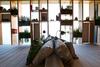 The Hide Apartments
