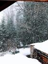 Paccots: Chalet Pour 4 Personnes - Calme
