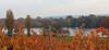 Hotel G�stehaus Rheinblick