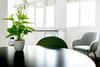 Alameda Principal Freshapartments By Bossh Apartments
