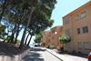 Apartamento Zeus Guardamar Seaview