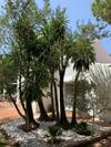 Exceptional Villa Close To The Best Beaches In Marbella