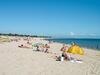 Holiday Home La Maison Aux Ibis - Rhu355
