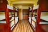 Albergue Alt Life - Manali
