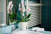 Bed & Breakfast La Dolce Vita
