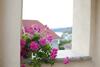 Hostal Locanda Mausonium