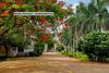 Spot On 37669 Hotel Shiva Sai Lodge
