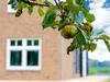 Luxurious Villa In Zwartewaal With Private Garden