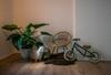 Apartamento Jantjes Lief Appartement