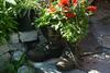 Apartment Mauser-m�hltaler