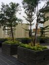 Apartamentos Dreamwood @ Galeri Ciumbuleuit