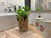 Apartamento Rural El Bandolero