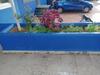 Apartamento Pamela Palms Home Stay Goa.