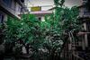 Apartamento Jamshikhel House