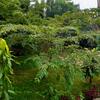 Hotel Tiger Tops Sauraha