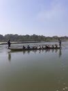 Hotel Tiger Tops Sauraha