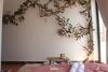 Hostal Nh� M�y Homestay