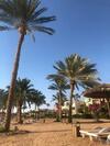 Beachy Apartment