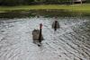 Sanctuary Lakes Fauna Retreat