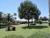 Apartamento Urbanizacion Alcaudon Isla Canela