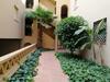Apartamento Urbanizacion Alcaudon Isla Canela