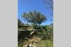 Villa Casa En Olivera A 3 Km De La Costa