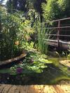 Agroturismo Caba�as De Madera Y Bungalows - Gilma�as 3