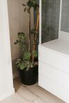 Apartamentos Mk77 Le�n - Cantareros