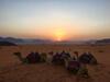 Wadi Rum Ecco