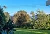 Lovely Browns Bay 4br Home Sea View Steps To Beach
