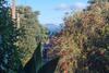 Lovely Browns Bay 4br Home Sea View Steps To Beach
