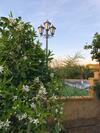 Chalet Con Piscina El Oasis Del Palomar