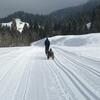 Apartamento G�stehaus Metzler