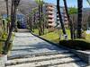 Ginestra Apartment Bissone
