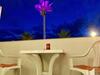 Apartamento Beachfront Studio Las Americas