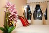 Bed & Breakfast Carolina Guesthouse