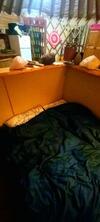 The Mongolian Yurt In The Village