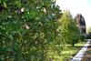 Bed & Breakfast Quinta D'av� Am�lia