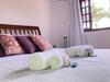 Bed & Breakfast Numa Boa Suites