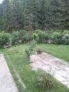Apartamento ?umska Idila Rakovac