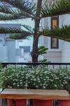 Maymimi Villa Hotel In Dalat