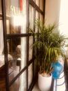 Hotel Aura Home 7