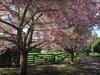 The Flower Nest Retreat