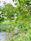 Bed & Breakfast Logies Chateau Holtum