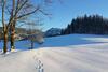 Chalet Hinterbreiteneben