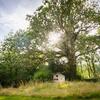 Brecon Beacons Old Vicarage, Stunning Garden & Views