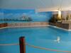 Regency Holiday Camping 5 �toiles Frejus, Cote D'azur