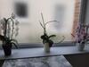 Apartamento Chambres � La Campagne Pr�s D'auxerre