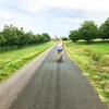 Agroturismo Loire Valley Llama Farm Stay