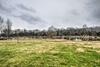 Pet Friendly Milk Barn Cottage On 15 Acres!